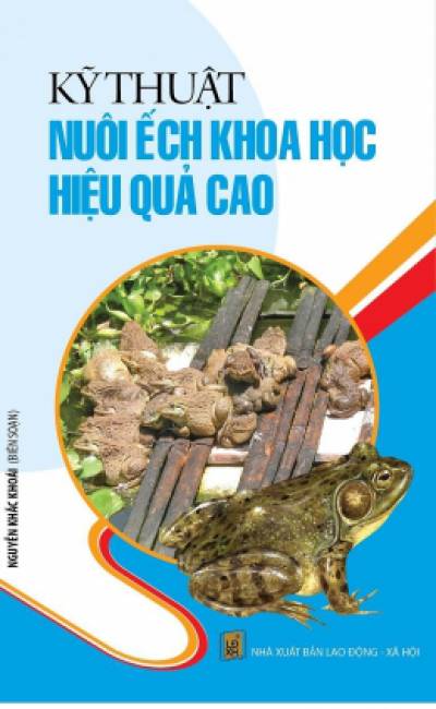 Kỹ Thuật Nuôi Ếch Khoa Học Hiệu Quả Cao