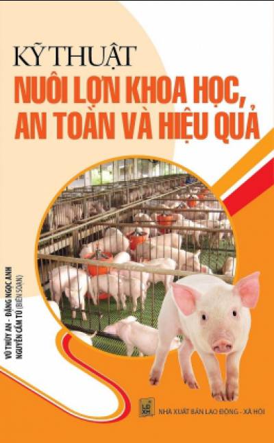 Kỹ Thuật Nuôi Lợn Khoa Học, An Toàn Và Hiệu Quả