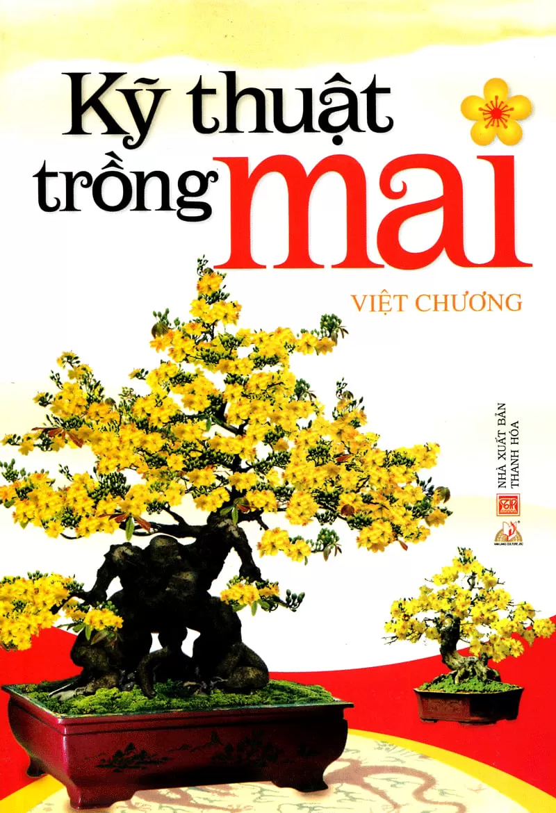 Kỹ Thuật Trồng Mai