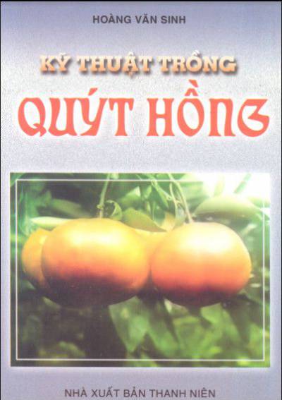 Kỹ thuật trồng quýt hồng